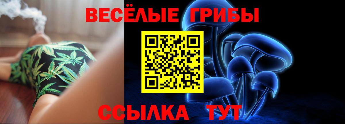 Псилоцибиновые грибы MAGIC MUSHROOMS  Псилоцибиновые грибы ЛСД  Шелехов  Вход с VPN 